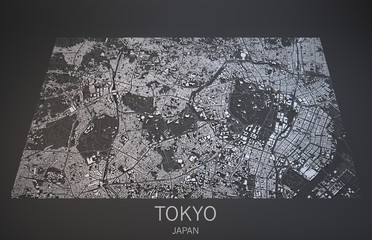 Mappa Tokyo, vista satellitare, Giappone, 3d