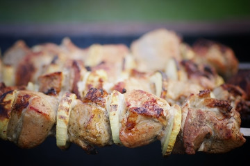 barbecue cooking on the grill