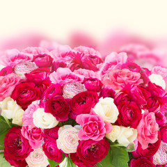 bunch of pink ranunculus flowers