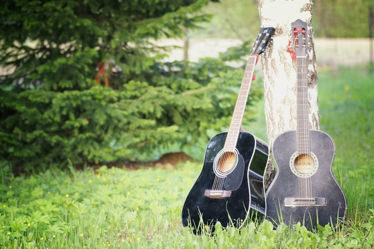 Guitar on the nature of the instrument in the forest