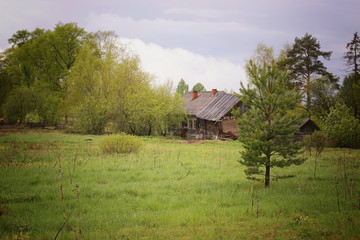 landscape of a country house in the woods