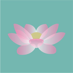 Isolated flower on a colored background. Vector illustration