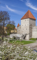 Fototapeta na wymiar Medieval Tower In Springtime