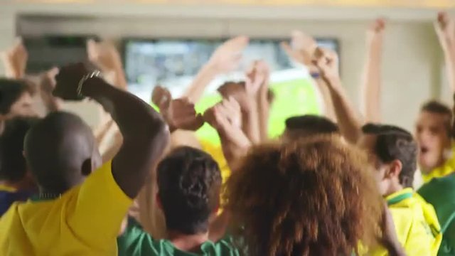 Brazilian Fans Watch a Soccer Game at a Sports Bar