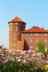 Wawel Castle, Krakow, Poland