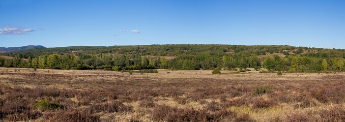 Panoramica de Paisaje Veraniego