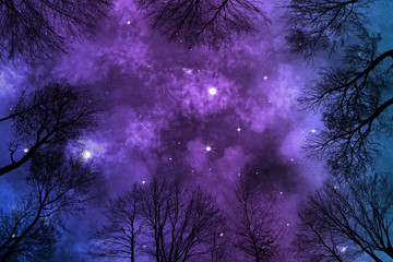Sicht durch Bäume auf Sternenhimmel mit farbigem Nebel