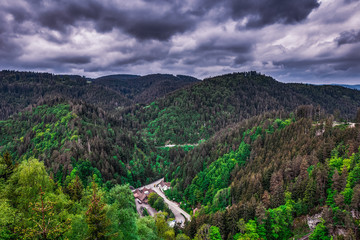 Spring in the Black Forest