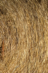 Straw bale