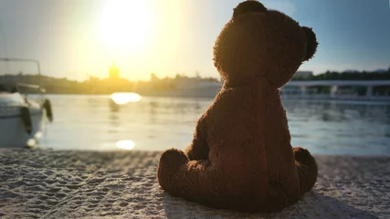 Fotobehang Teddy bear in the pier © Giovanni Cancemi