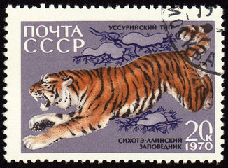 Jumping tiger on post stamp