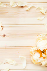 Peony and Petals