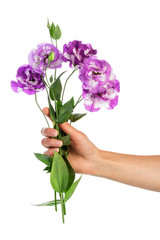 Purple flowers in hand