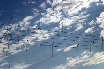 Ptaki - nutki - muzyka na niebie