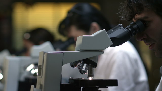 Students in a chemistry lab look through a microscope during their experiments 