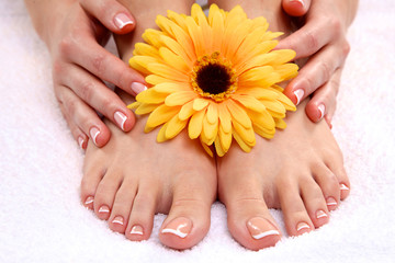 Beautiful feet with perfect spa french nail pedicure