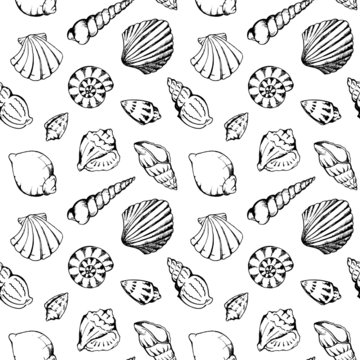 Sea shells vector seamless pattern texture background