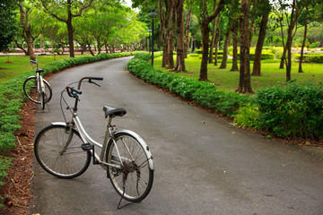 Fototapeta premium Stock Photo - Bicycles in the park for relex