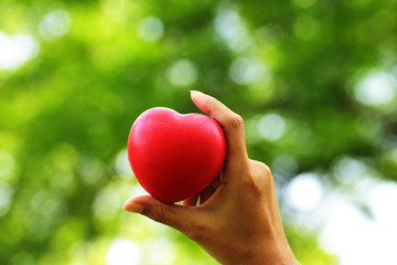 Stock Photo - Heart in hands on nature background