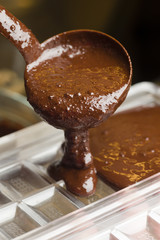 Ingredients for preparation of artisanal chocolate bar
