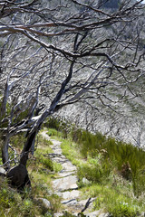 Fototapeta premium Mountains of Madeira, view from Pico Ruivo