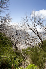 Mountains of Madeira, view from Pico Ruivo