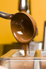 Ingredients for preparation of artisanal chocolate bar