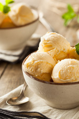Homemade Organic Vanilla Ice Cream