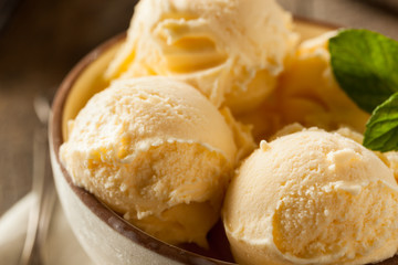 Homemade Organic Vanilla Ice Cream