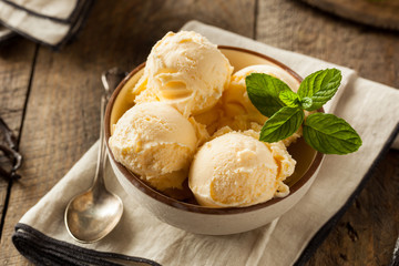 Homemade Organic Vanilla Ice Cream