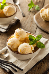 Homemade Organic Vanilla Ice Cream