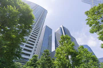 Obraz na płótnie Canvas 品川　高層ビル群と新緑