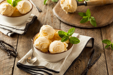 Homemade Organic Vanilla Ice Cream