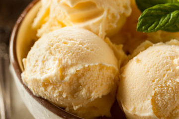 Homemade Organic Vanilla Ice Cream