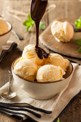 Homemade Organic Vanilla Ice Cream