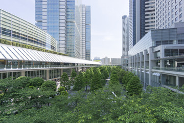 Fototapeta na wymiar 高層ビル群と新緑