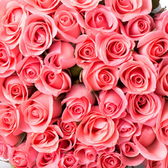 pink rose flower bouquet background