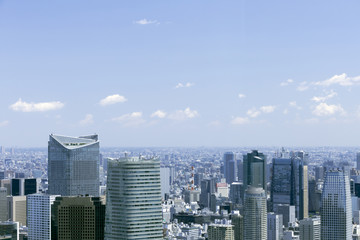 Fototapeta premium 東京都心の高層ビル群と空