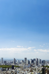 Fototapeta na wymiar 新宿高層ビル群と街並　大空コピースペース