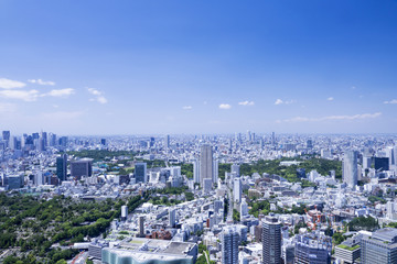 Fototapeta na wymiar 超広角で望む　東京全景　新宿　池袋