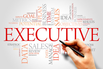 Executive word cloud, business concept