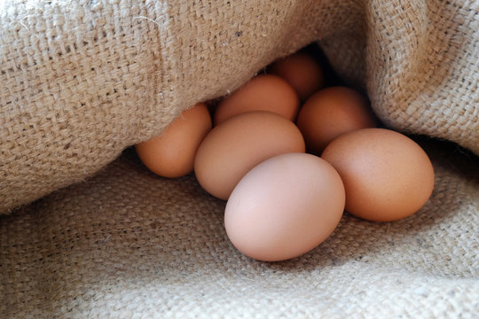 Closeup of Chicken eggs in the sackcloth