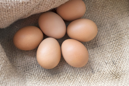 Closeup of Chicken eggs in the sackcloth