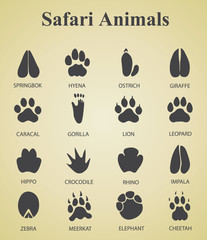 set of safari animal tracks © meon04