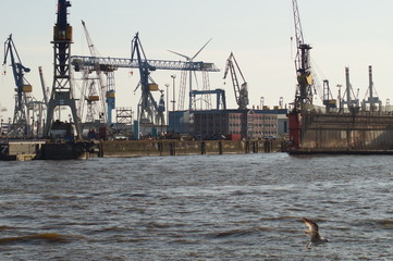 Obraz premium Hamburger Landungsbrücken