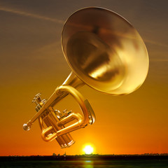 abstract night background with city and trumpet