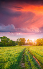 Naklejka premium Colorful vertical panorama of the spring meadow with country roa