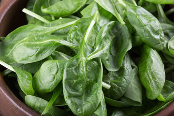 Fresh baby spinach leaves