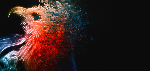 Digital photo manipulation of an eagle