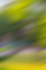 Obraz premium Abstract color composition